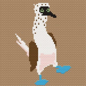 Blue Footed Booby Bird Cross Stitch Pattern (PDF)