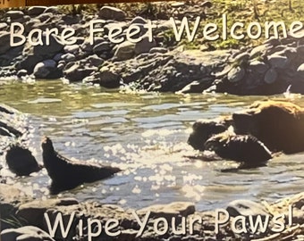 Bear, grizzly, 8x10 canvas, room decor, wall