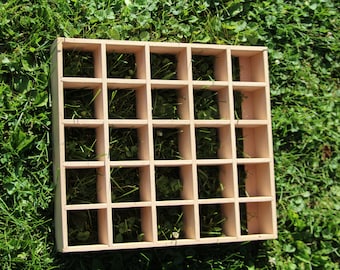 Essential oil Shelf, Curio, or Collectibles, UNFINISHED,  Wooden wall shelf solid oak