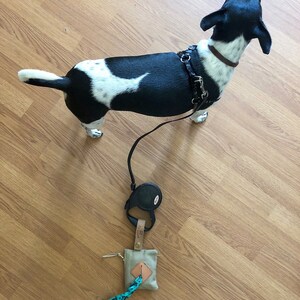 May include: A black and white dog wearing a harness and leash, standing on a wooden floor. A retractable leash and a small pouch with a blue and black patterned strap are on the floor.