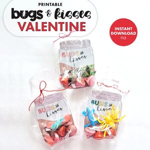 Bugs & Kisses Mason Jar Valentine - Cartão de Dia dos Namorados Presente Artesanato DIY Escola Sala de Aula Festa Ideia para crianças Vday Insetos Vermes Não Doces