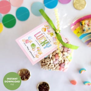 Etiqueta de presente do dia de São Patrício - Você é meu amuleto da sorte amigo professor aluno festa favor guloseimas cartão encantos cereal