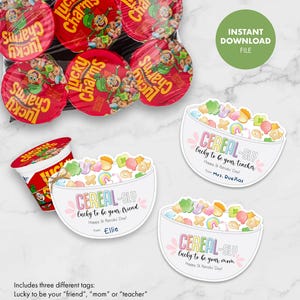 Etiqueta de presente do dia de São Patrício - Cereal-sly Sorte de ser seu amigo professor aluno festa favor cartão de guloseimas encantos cereal