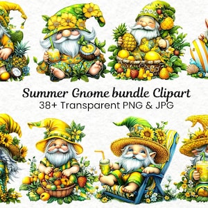 Paquete de imágenes prediseñadas de gnomos de verano / Gnomos de acuarela (más de 38 PNG) / Traje tropical, girasoles para sublimación, pegatinas, descarga digital