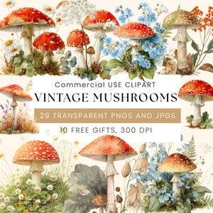 Vintage Mushroom Clipart Bundle | Watercolor Toadstools 29+PNG | Forest Fungi Clip Art | Cottagecore Aesthetic | Digital Download
