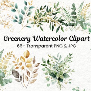 Greenery & Eucalyptus Watercolor Clipart | Gold Foliage Botanical 66+PNGs | Wedding Floral Clipart, Premade Leaves | Digital Download