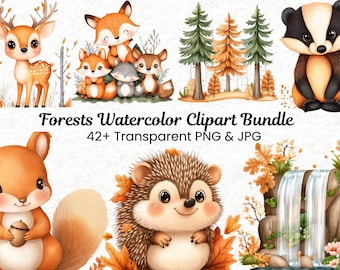 Watercolor Forest Animal Clipart Bundle | Nursery Art (PNG, JPG)