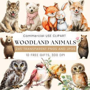 Woodland Animals Clipart | Watercolor Forest Creatures 245+PNG Bundle | Fox, Deer, Bear, Raccoon | Baby Nursery Art | Digital Download