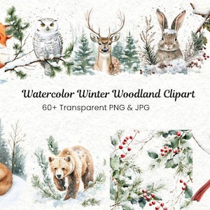 Evergreen Winter Woodland Clipart | Watercolor Winter Forest PNG | Woodland Animals, Snowy Landscapes, Christmas Art | Digital Download