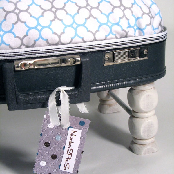 Pet Bed Mini Vintage Suitcase UpCycled / Repurposed / Reclaimed