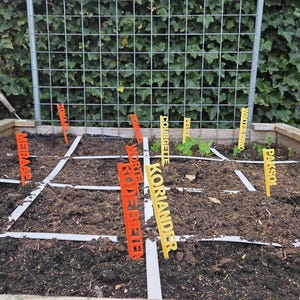 Pode incluir: Um canteiro elevado com vários marcadores de plantas. Os marcadores, em laranja e amarelo, identificam culturas como tomates, beterrabas e coentros. A cama é dividida em seções com tiras brancas, e uma cerca de malha de arame está no fundo.