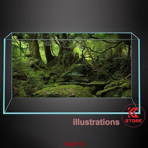 Polyester fish tank glass backdrop, fish tank background, fish tank decoration, aquatic rock style