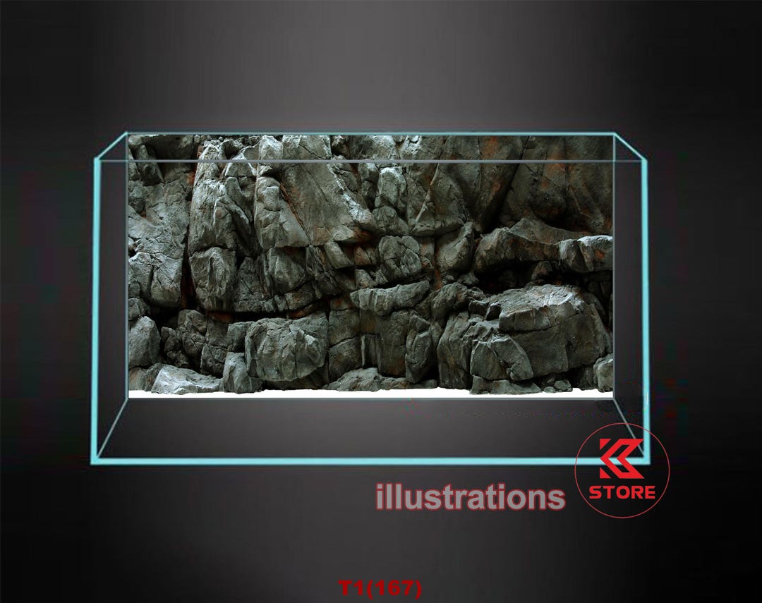 Gallery image with a fresh perspective