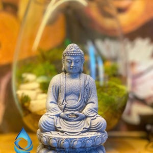 May include: A grey Buddha statue in a seated meditation pose. The statue sits on a lotus flower base. The background includes a glass terrarium with greenery and the AquaSceneStudio logo.