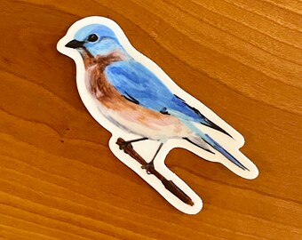 Bluebird Sticker - Backyard birds - birding - stickers - wild birds - vinyl sticker - clear sticker - 3 inch sticker - nature stickers -bird