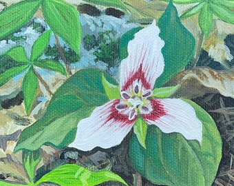 Trillium Matted Print • Original Art • Floral • Maine Wildflower