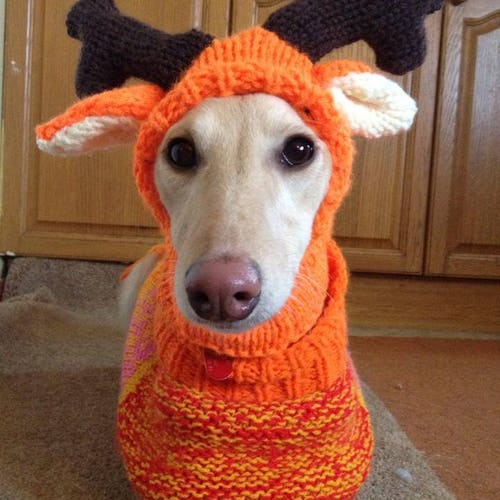 reindeer hat for dogs knitting pattern