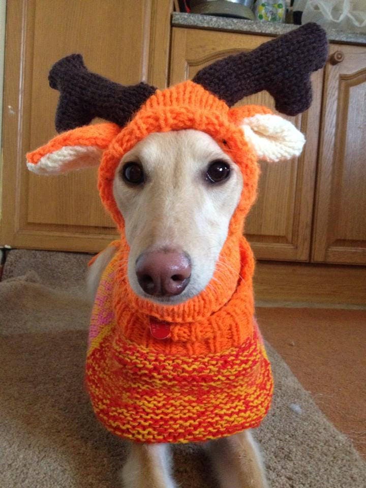 whippet sweater knitting pattern