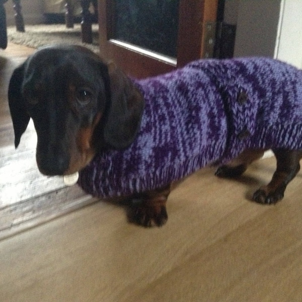 Dachshund Coat knitting pattern Download