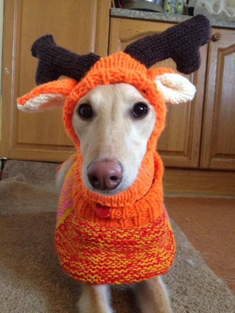 Whippet Reindeer Hat Knitting Pattern Free Uk Postage