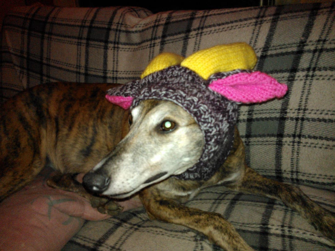 Greyhound Reindeer Hat Knitting Pattern Download Etsy