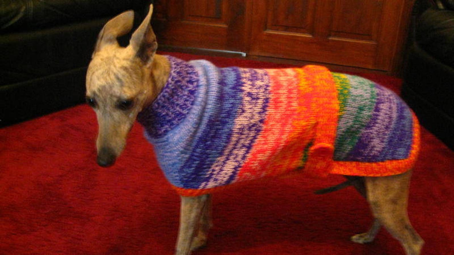 Knitted Whippet Coat Knitting Pattern Download Etsy Australia