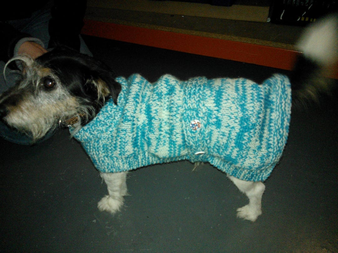 Knitting pattern dog coat jack best sale russell