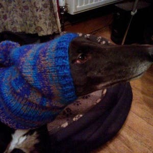 Greyhound & Whippet Pompom Hat Knitting Pattern Download