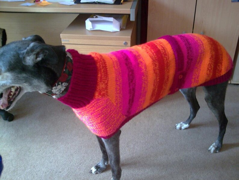 Greyhound Coat Knitting Pattern Download Etsy UK