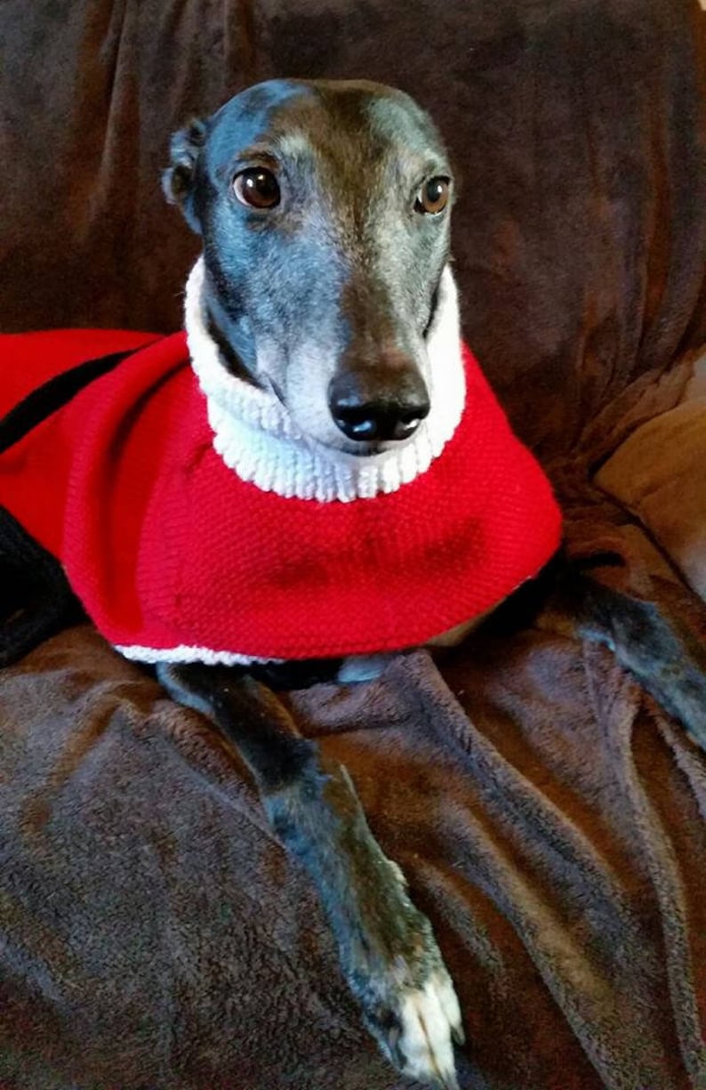 Greyhound Santa Coat Knitting Pattern Download Etsy