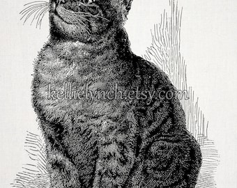 Vintage Cat Illustration Tabby With Bug - Instant Download Image for Embellishment, Transfer, Print - Commercial Use - 0004