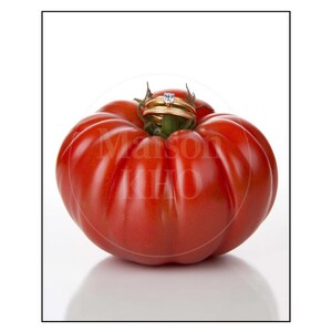 Puede incluir: Un tomate rojo maduro con dos anillos de oro, uno con un diamante, encima. La imagen incluye el texto "RIPE WITH LOVE". El tomate es el foco principal, sobre un fondo blanco.