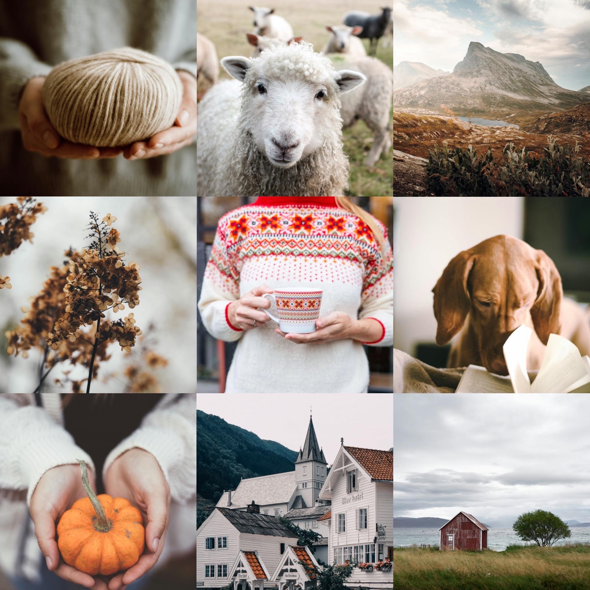 Norwegian autumn Mystery Box