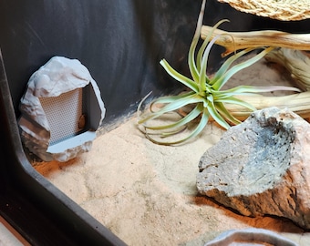 3d Printed Enrichment Bearded Dragon/Reptile Feeder