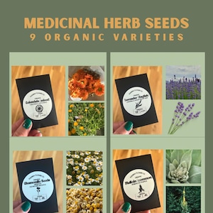 Organic Medicinal Herb Seeds - 9 Varieties for DIY Apothecary & Pollinators