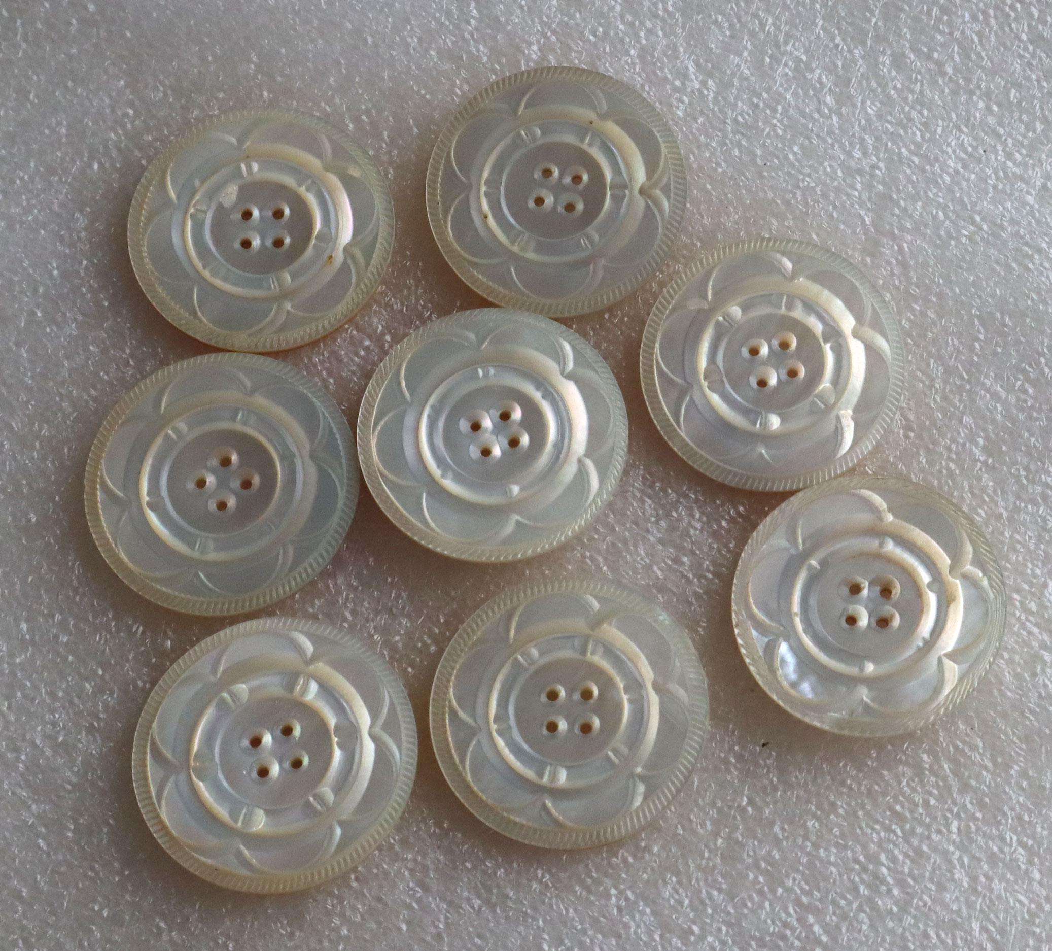 Antique 33mm Gorgeous Carved Shell Button 4 Hole Sold as Set of 8 or ...