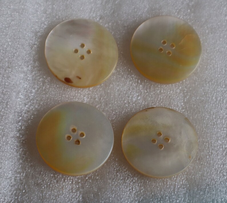 Antique 37mm Carved Shell Button 4 Hole Sold as Set of 4 or ...