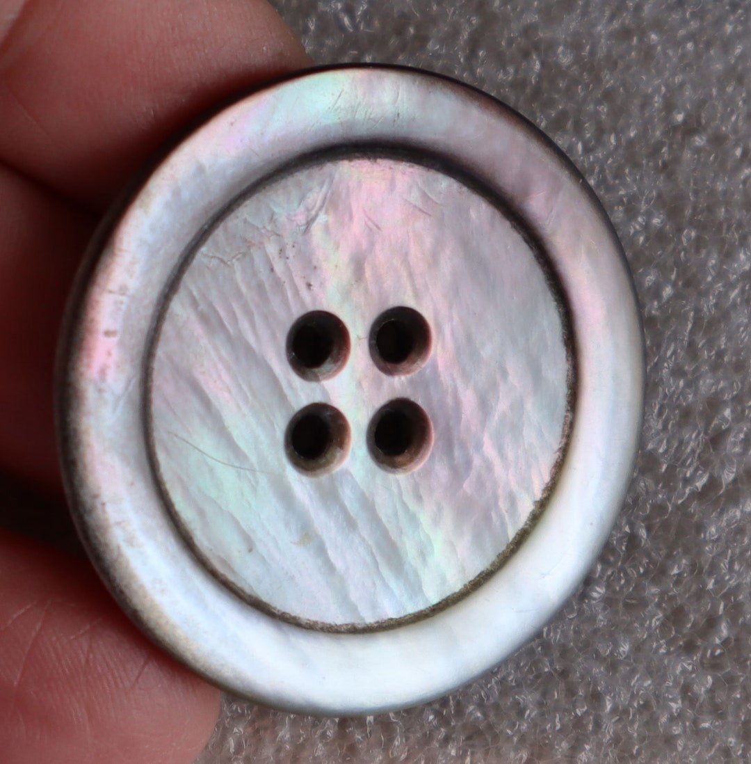 Vintage 36mm Carved Shell Abalone Button 4 Hole 1 Piece - Etsy