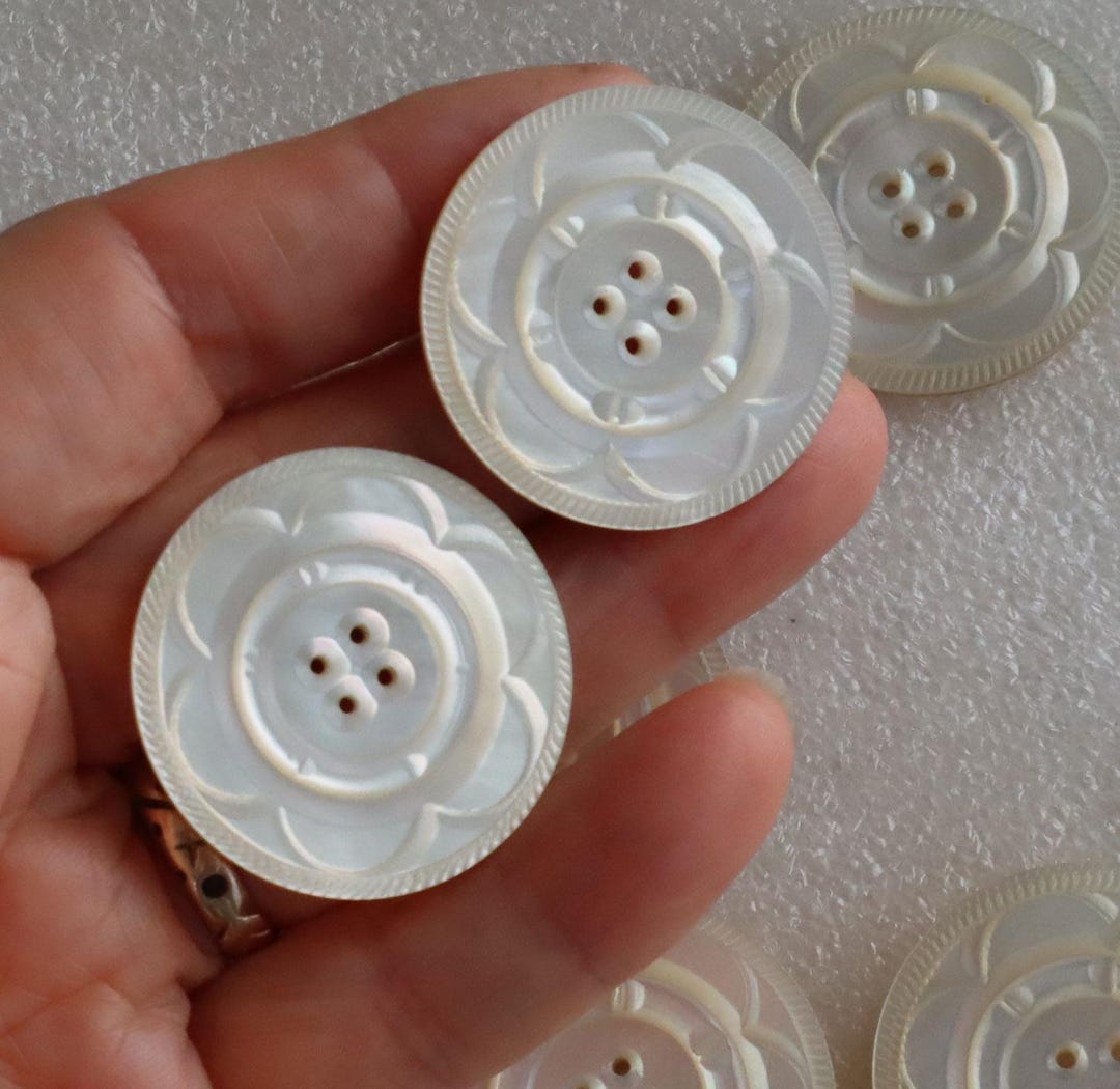 Antique 33mm Gorgeous Carved Shell Button 4 Hole Sold as Set of 8 or ...