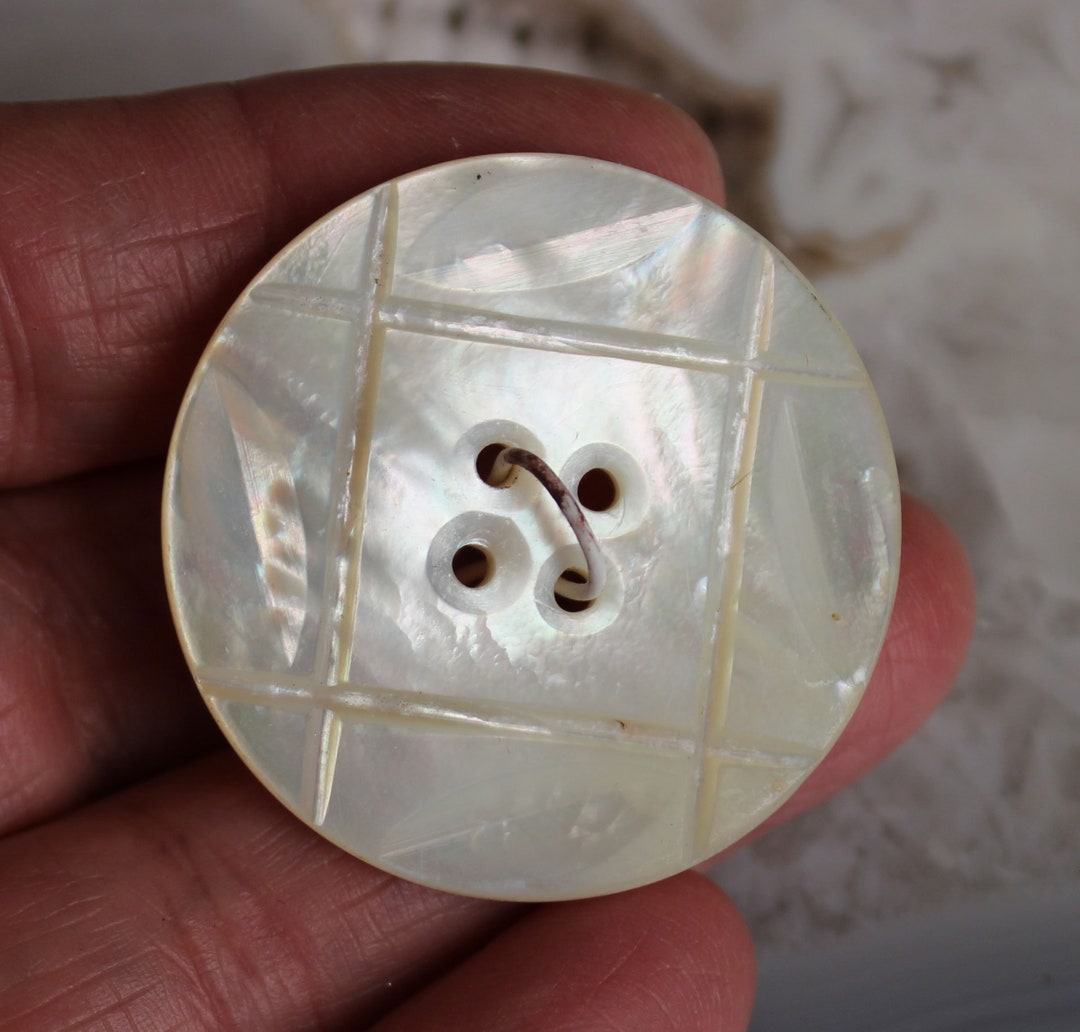 Vintage 36mm Carved Shell Grid and Leaves Button Single Piece - Etsy