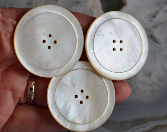 Antique Large 44mm Carved Shell Buttons Set of 3 - Etsy