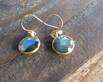 Labradorite Pendant Gold Filled Earrings