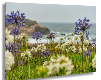 Konsttryck av kustnära vildblommor: Landskap i norra Kalifornien