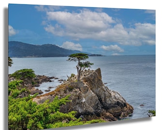 Lone Cypress Tree Photograph: 17 Mile Drive, Big Sur California Coast Art