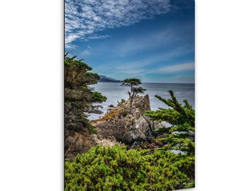 Lone Cypress Tree Photograph: 17 Mile Drive, Big Sur California Coastal Print
