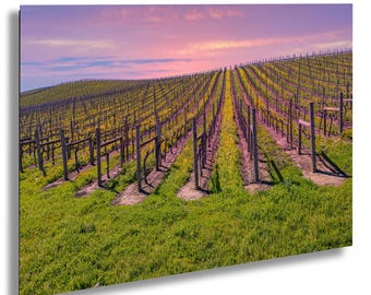 Napa Valley Vineyard Sunset Wall Art, Wine Country Landscape Photography