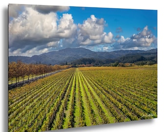 Napa Valley Vineyard Wall Art | California Wine Country Landscape | Fall Foliage Decor