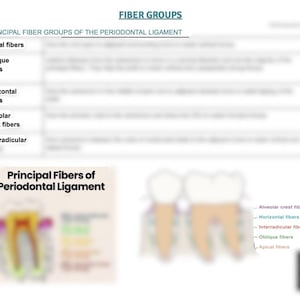 Tabla de referencia de los grupos de fibras para la higiene dental