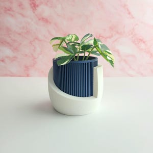 May include: A white and blue ceramic planter with a plant inside. The planter has a unique design with a curved white base and a blue ribbed cylinder.