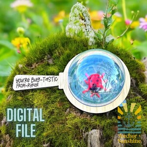 May include: A wooden magnifying glass with a clear plastic dome containing a red ladybug. The handle has the text "You're Bug-Tastic From-Ryker" written on it. The magnifying glass is sitting on a bed of green moss.